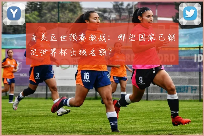 南美区世预赛激战:哪些国家已锁定世界杯出线名额?