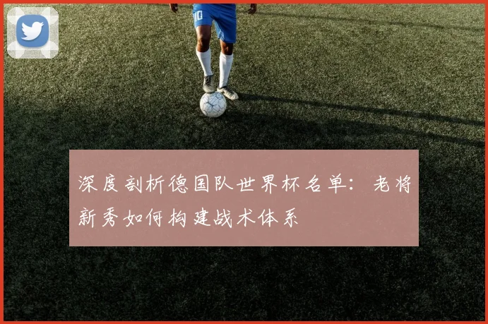 深度剖析德国队世界杯名单：老将新秀如何构建战术体系