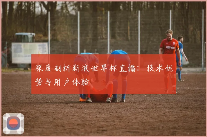 深度剖析新浪世界杯直播：技术优势与用户体验