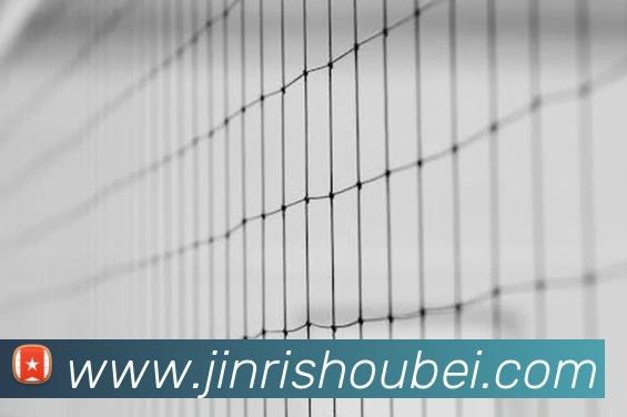 开云kaiyun在线官网品牌故事